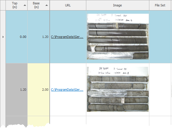 Data_Interface_Grid_Editor_UrlAndPicture