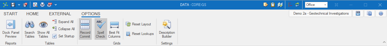 Data_Interface_Ribbon_Page_Options